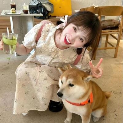 龙兄唬弟
